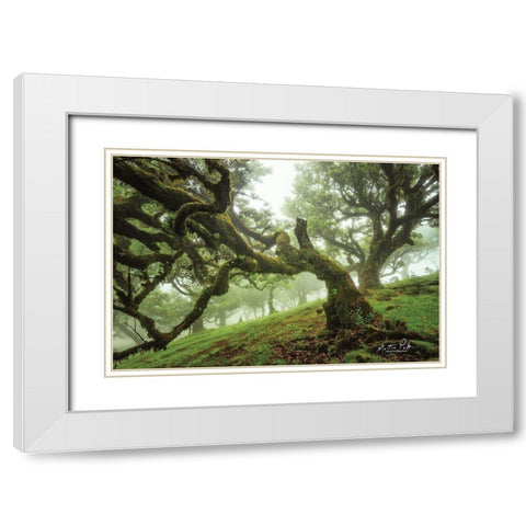 Tentacles White Modern Wood Framed Art Print with Double Matting by Podt, Martin