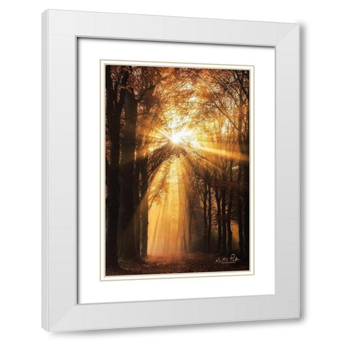 Sunburst     White Modern Wood Framed Art Print with Double Matting by Podt, Martin