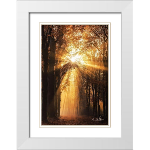 Sunburst     White Modern Wood Framed Art Print with Double Matting by Podt, Martin