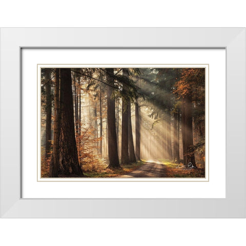 Fresh Autumn Light White Modern Wood Framed Art Print with Double Matting by Podt, Martin