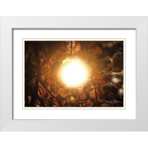 Into the Sun White Modern Wood Framed Art Print with Double Matting by Podt, Martin