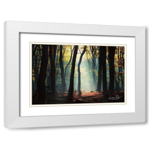 Forest Blues White Modern Wood Framed Art Print with Double Matting by Podt, Martin