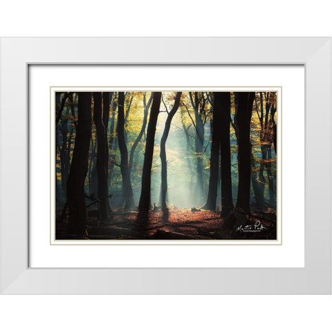 Forest Blues White Modern Wood Framed Art Print with Double Matting by Podt, Martin