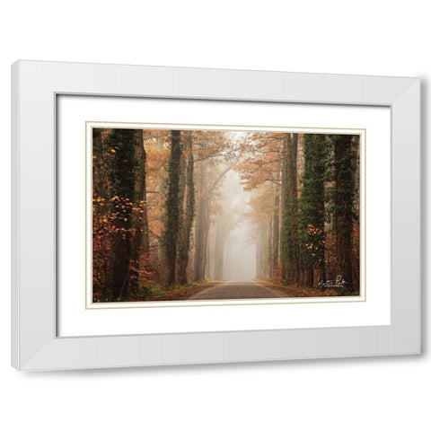 Foggy Autumn Road   White Modern Wood Framed Art Print with Double Matting by Podt, Martin