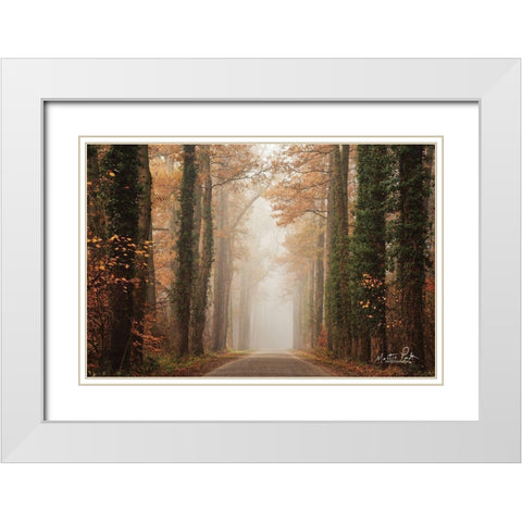 Foggy Autumn Road   White Modern Wood Framed Art Print with Double Matting by Podt, Martin