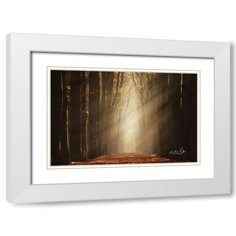 Classic Shot   White Modern Wood Framed Art Print with Double Matting by Podt, Martin