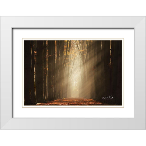Classic Shot   White Modern Wood Framed Art Print with Double Matting by Podt, Martin