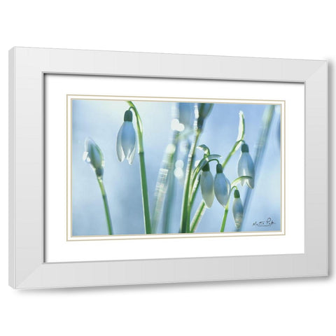 Couple of Snowdrops  White Modern Wood Framed Art Print with Double Matting by Podt, Martin