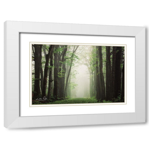 Moisture is the Essence of Wetness    White Modern Wood Framed Art Print with Double Matting by Podt, Martin