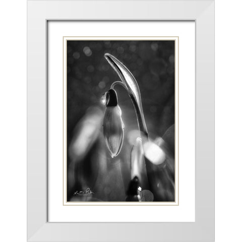 Snowdrops in Black and White White Modern Wood Framed Art Print with Double Matting by Podt, Martin