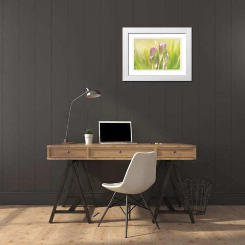 Soft Crocus White Modern Wood Framed Art Print with Double Matting by Podt, Martin