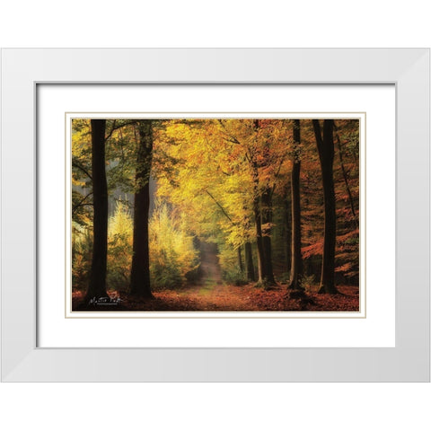Autumn Mood White Modern Wood Framed Art Print with Double Matting by Podt, Martin