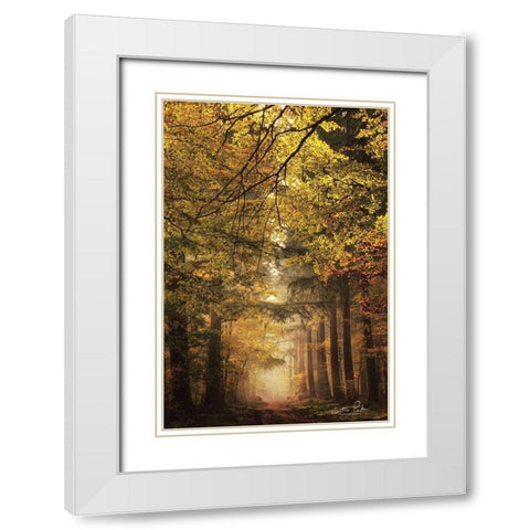 Memories of the Past White Modern Wood Framed Art Print with Double Matting by Podt, Martin