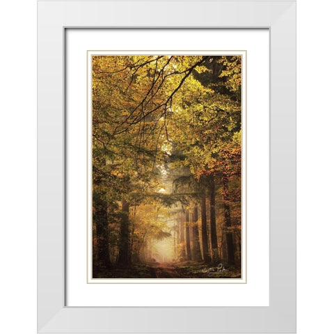 Memories of the Past White Modern Wood Framed Art Print with Double Matting by Podt, Martin