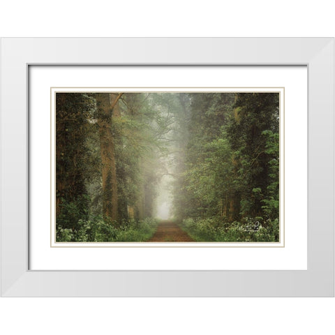 Misty Spring Road White Modern Wood Framed Art Print with Double Matting by Podt, Martin