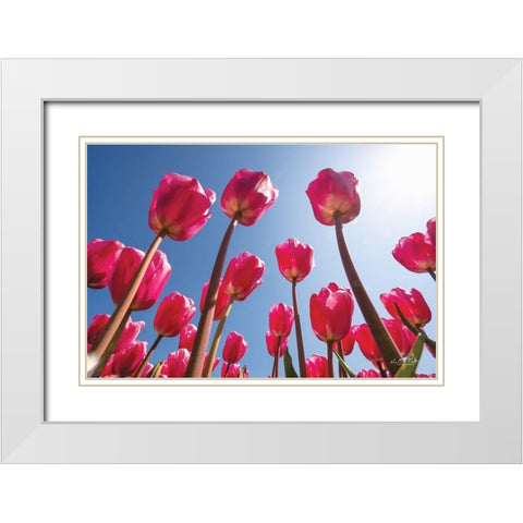 Look Up in Pink White Modern Wood Framed Art Print with Double Matting by Podt, Martin
