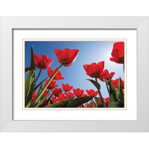Look Up in Red White Modern Wood Framed Art Print with Double Matting by Podt, Martin