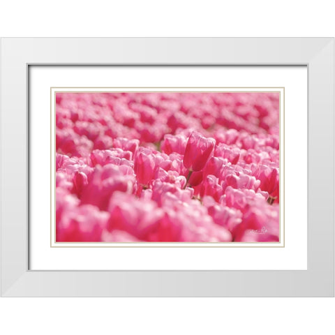 Pink Field White Modern Wood Framed Art Print with Double Matting by Podt, Martin