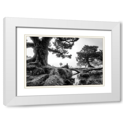 Black and White Fanal White Modern Wood Framed Art Print with Double Matting by Podt, Martin