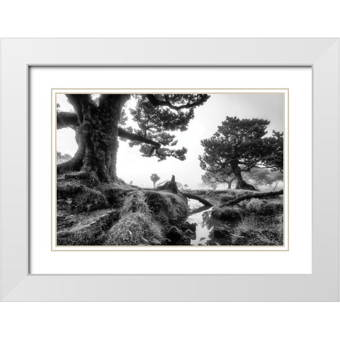 Black and White Fanal White Modern Wood Framed Art Print with Double Matting by Podt, Martin