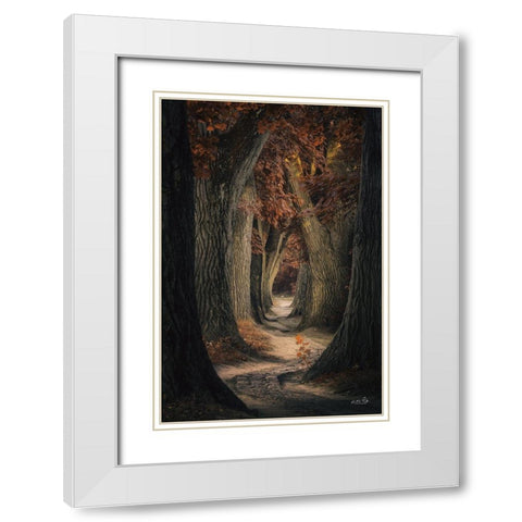 Same Old Path White Modern Wood Framed Art Print with Double Matting by Podt, Martin
