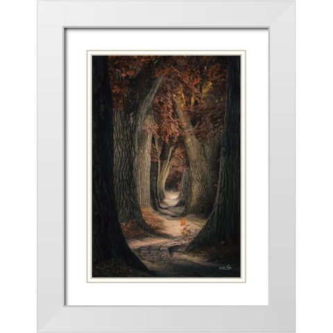 Same Old Path White Modern Wood Framed Art Print with Double Matting by Podt, Martin