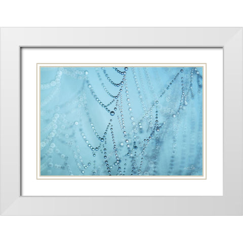 Natures Jewels I White Modern Wood Framed Art Print with Double Matting by Podt, Martin