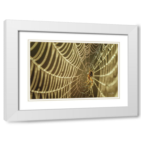 The Spider and Her Jewels White Modern Wood Framed Art Print with Double Matting by Podt, Martin