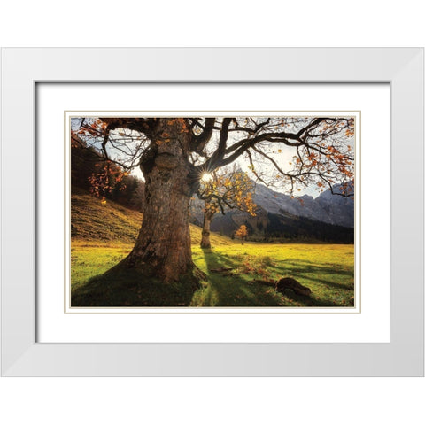 The Star White Modern Wood Framed Art Print with Double Matting by Podt, Martin