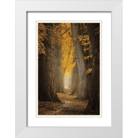 Autumn Path White Modern Wood Framed Art Print with Double Matting by Podt, Martin