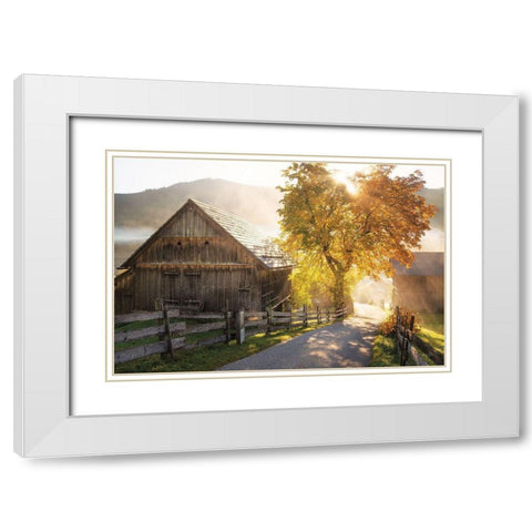 Autumn Road White Modern Wood Framed Art Print with Double Matting by Podt, Martin
