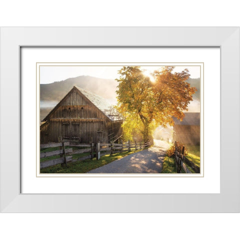 Autumn Road White Modern Wood Framed Art Print with Double Matting by Podt, Martin