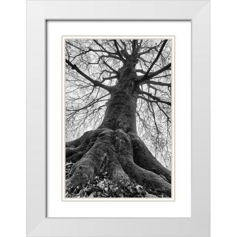 The Giant I White Modern Wood Framed Art Print with Double Matting by Podt, Martin