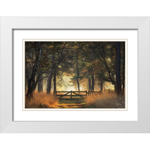 The Gate White Modern Wood Framed Art Print with Double Matting by Podt, Martin