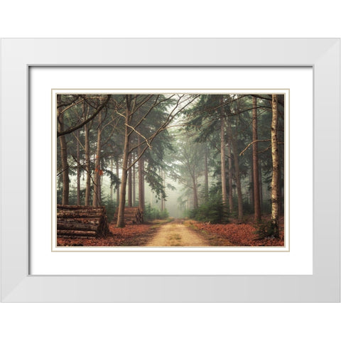 Harvesting Time White Modern Wood Framed Art Print with Double Matting by Podt, Martin