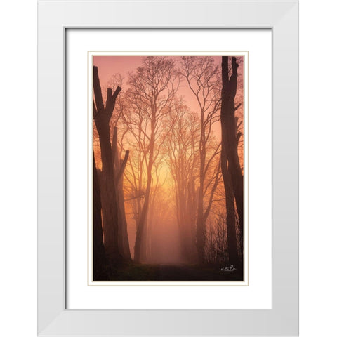 Mysterious Mood White Modern Wood Framed Art Print with Double Matting by Podt, Martin