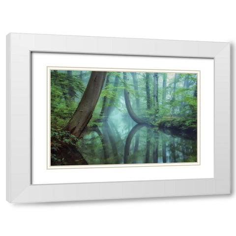 Moody Reflections White Modern Wood Framed Art Print with Double Matting by Podt, Martin