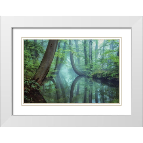 Moody Reflections White Modern Wood Framed Art Print with Double Matting by Podt, Martin