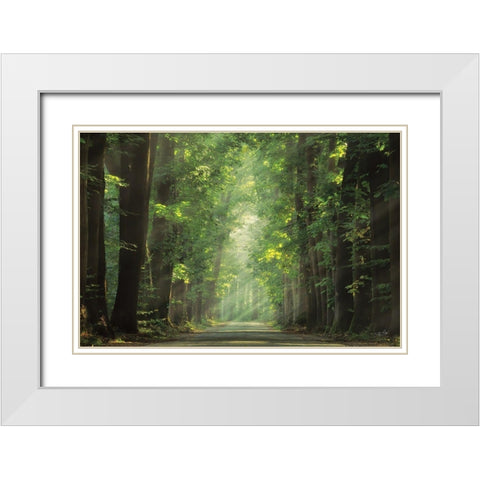 Bright Lights White Modern Wood Framed Art Print with Double Matting by Podt, Martin