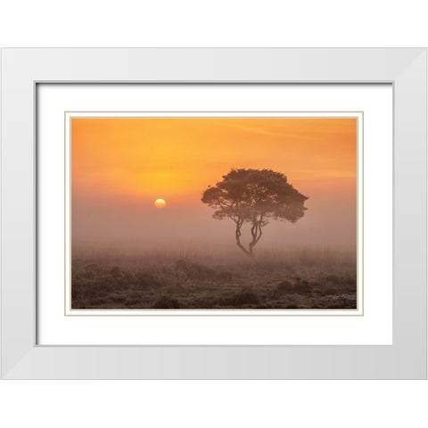 Enjoy the Silence I White Modern Wood Framed Art Print with Double Matting by Podt, Martin