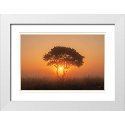 Enjoy the Silence III White Modern Wood Framed Art Print with Double Matting by Podt, Martin