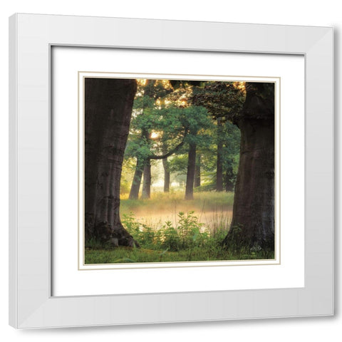 Tree Frame White Modern Wood Framed Art Print with Double Matting by Podt, Martin