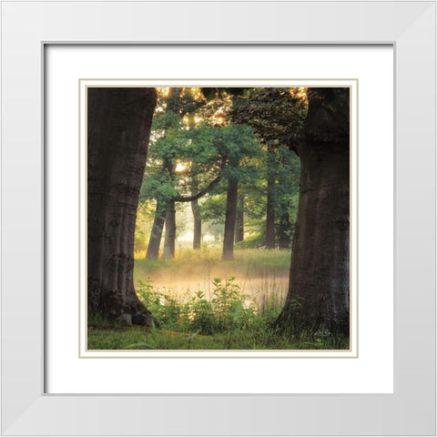 Tree Frame White Modern Wood Framed Art Print with Double Matting by Podt, Martin