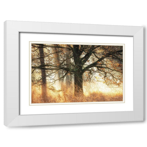 Backlight White Modern Wood Framed Art Print with Double Matting by Podt, Martin