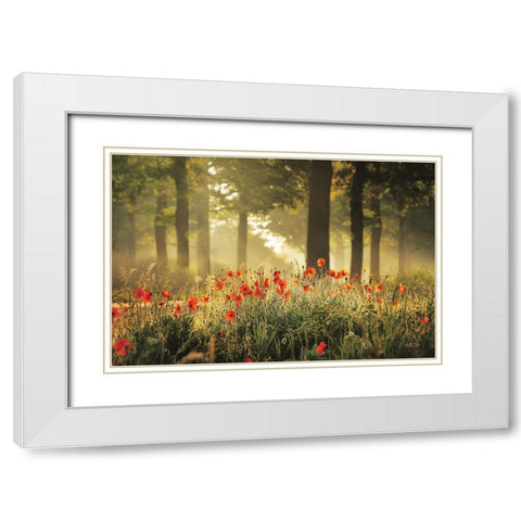 The Poppy Forest White Modern Wood Framed Art Print with Double Matting by Podt, Martin