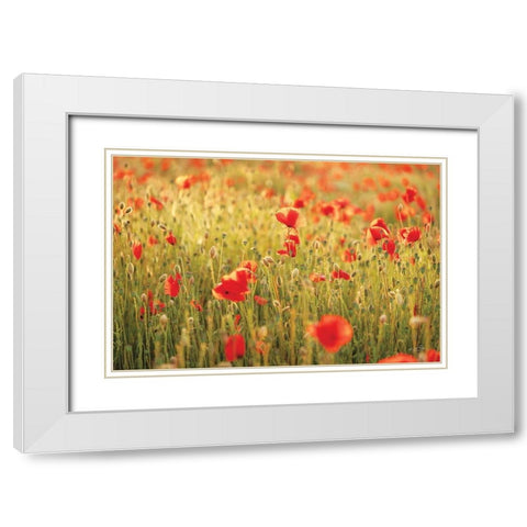 Poppy Field I White Modern Wood Framed Art Print with Double Matting by Podt, Martin