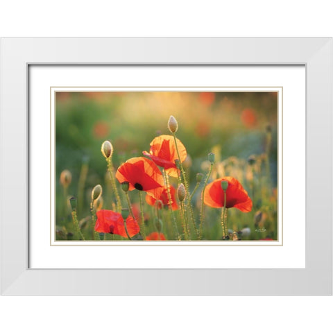 Poppy Field III White Modern Wood Framed Art Print with Double Matting by Podt, Martin