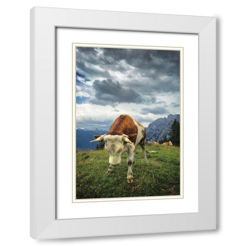 Bowing Cow White Modern Wood Framed Art Print with Double Matting by Podt, Martin