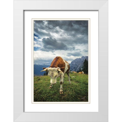 Bowing Cow White Modern Wood Framed Art Print with Double Matting by Podt, Martin
