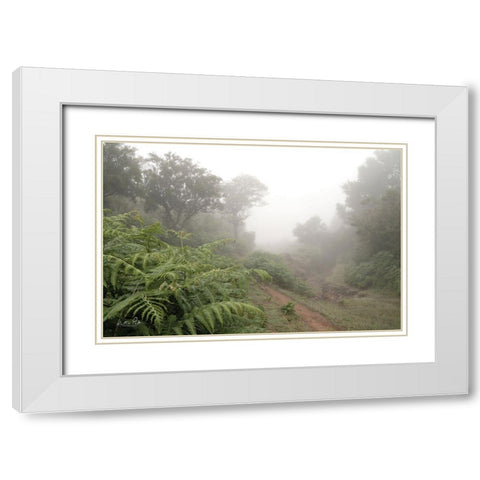 Fern Path White Modern Wood Framed Art Print with Double Matting by Podt, Martin